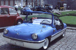 Ein Spatz aus dem Raum Karlsruhe