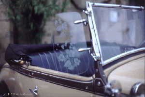 sch�ne Gravur am Seitenfenster eines hellbraunen Fords